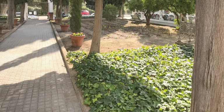 Recentment s’han fet més actuacions per millorar la imatge del cementiri d’Arenys de Munt
