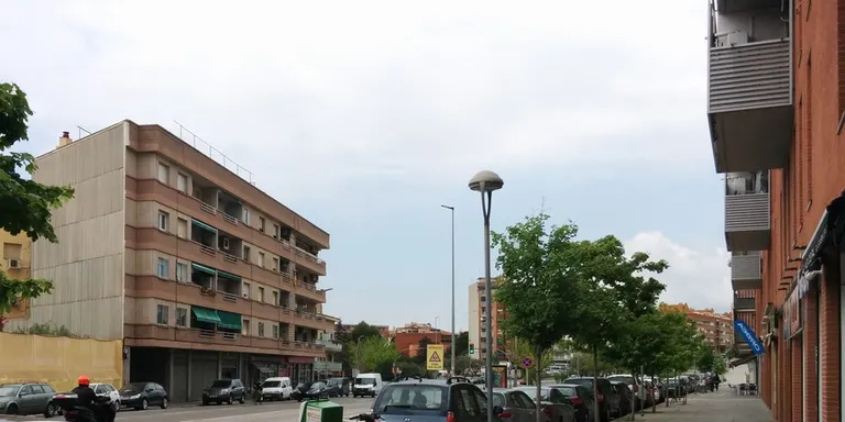 El nou arbrat de la ciutat es plantarà a finals d'any