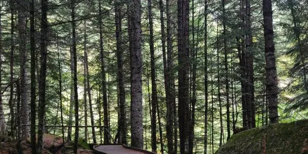 El Parc Nacional d'Aigüestortes instal·la noves passeres adaptades a persones amb mobilitat reduïda