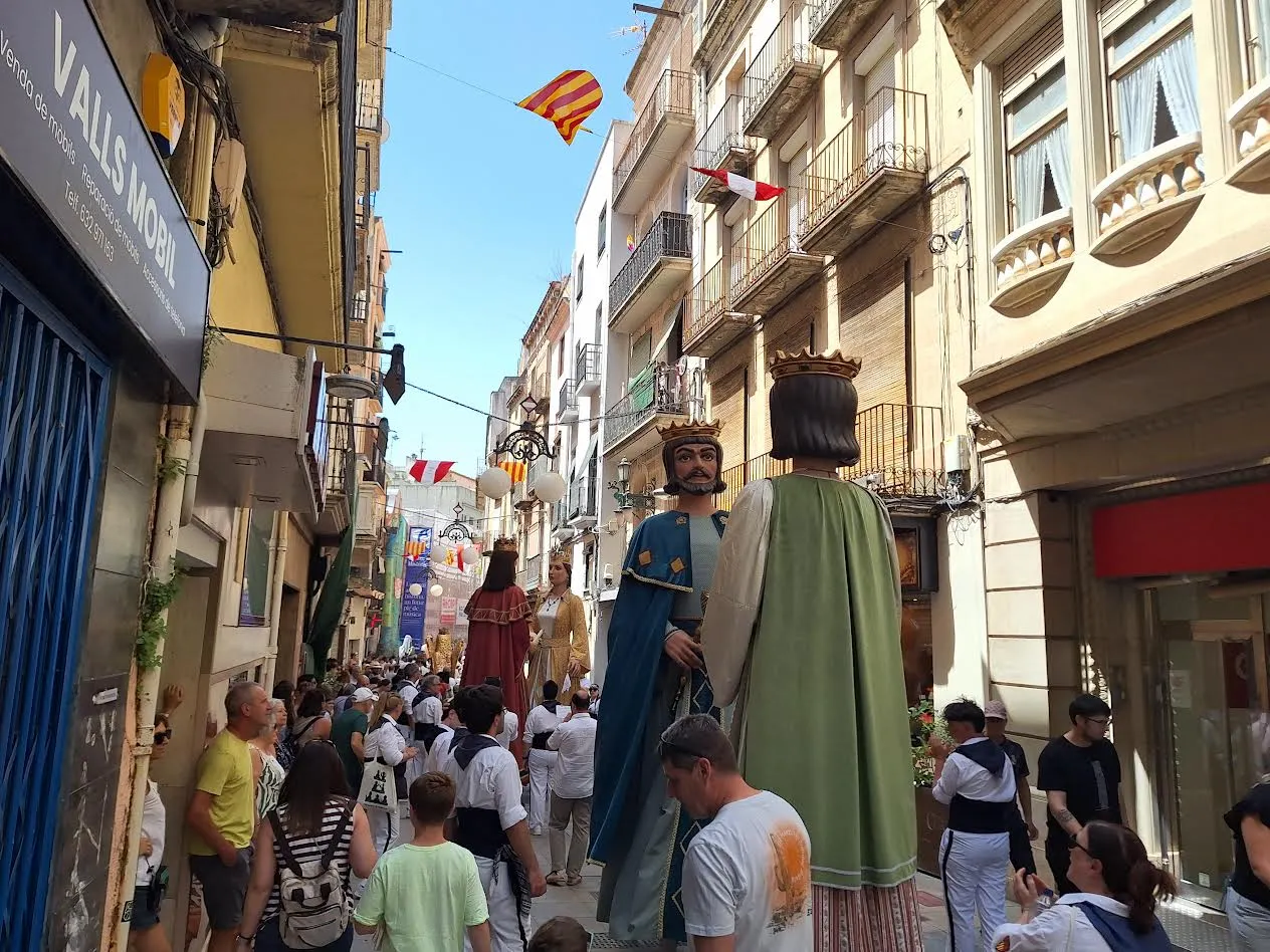 Valls organitza una Mostra d’elements coronats per commemorar el 15è aniversari del Lleó