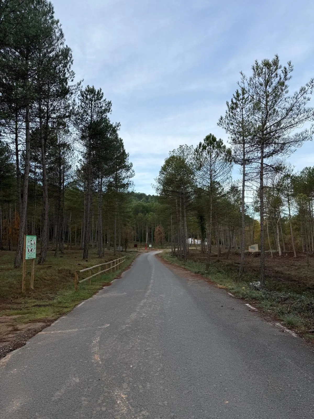 El Consell Comarcal fa una aclarida forestal en tres punts estratègics de gestió de la Ribera Salada