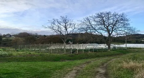 SE ABRE EL PLAZO PARA OPTAR A UNA PARCELA EN LA AGROALDEA ECOLÓGICA DE BOTIKA