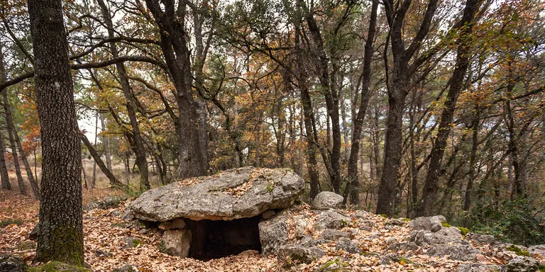 Enllestida la zona oest de la xarxa senyalitzada de Camina Pirineus