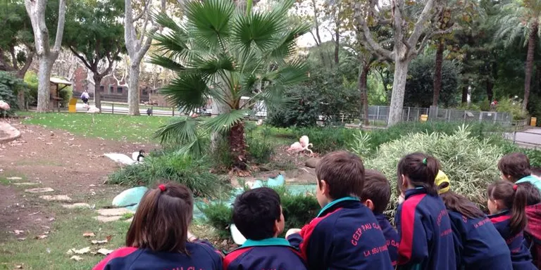 Nens i nenes de l'escola Pau Claris visiten el Zoo de Barcelona
