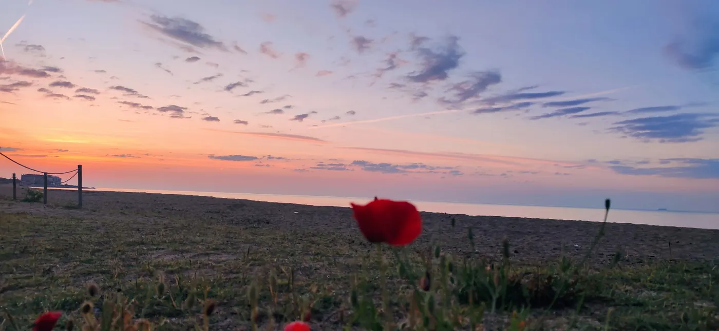 Bon temps i ambient primaveral