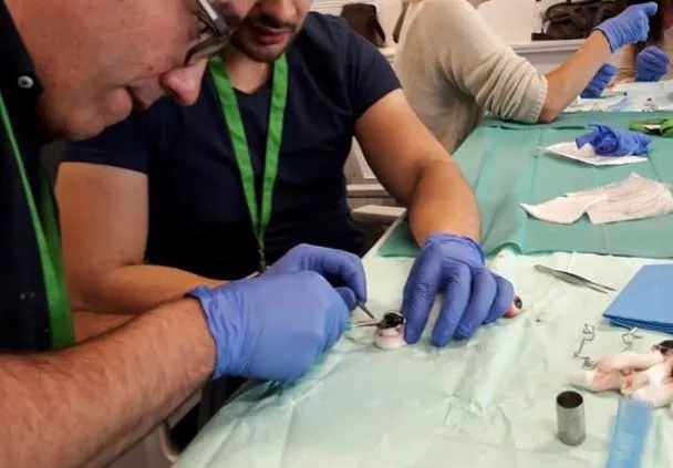 L'Hospital Sant Jaume de Calella rep l'autorització per ser un centre extractor de còrnies