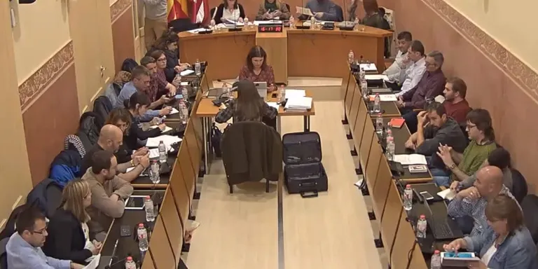 Ple ordinari abril 2019