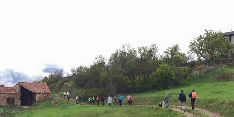 Nou calendari de sortides de Nordic Walking-Nòrdic Esport