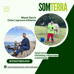 #268 - Som Terra amb Pili Garcia del 6/11/2024 - episode art