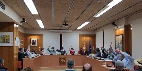 El ple de l'Ajuntament d'Altafulla es compromet a treballar per la inclusió de les persones amb Trastorn de l'Espectre Autista