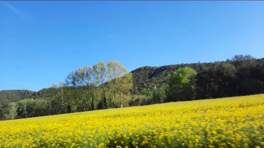 Cap de setmana estable i primaveral