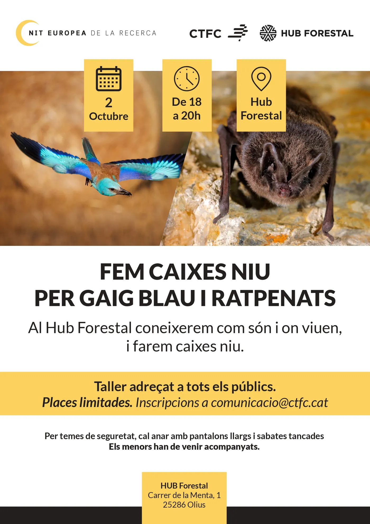 Solsona commemora la Nit Europea de la Recerca amb un documental i un taller de caixes niu