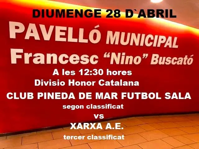Partit important entre el FS Pineda i el Xarxa AE