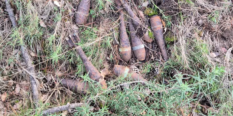 Un grup d'alumnes d'El Vinyet troba vuit bombes de la Guerra Civil a la zona de Sant Bartomeu