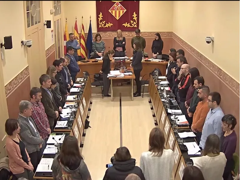 Ple ordinari gener 2020