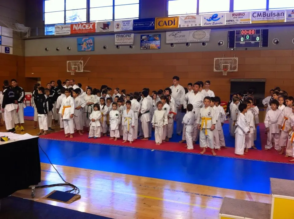 Karate - Campionat TKFI 2014
