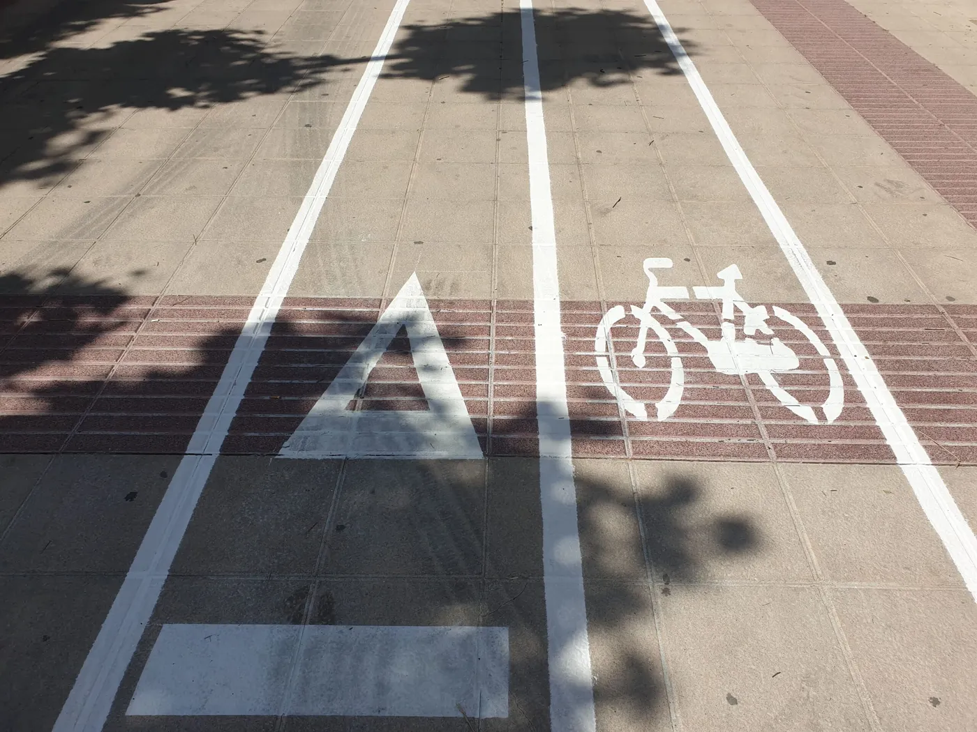 L’Ajuntament de Valls atura les obres del carril bici