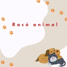 Racó Animal del 19/6/2025 - episode art
