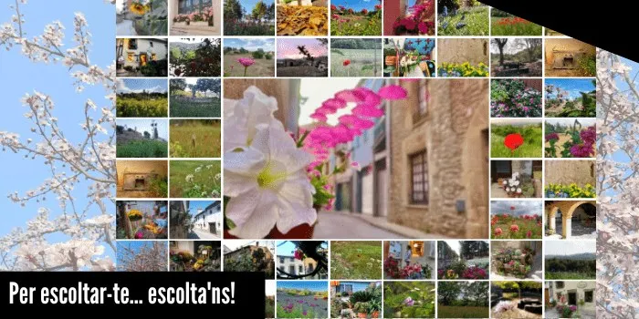 Vota les fotos pel calendari 2023