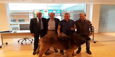 El domingo 22 de abril cita con la Exposición Canina Internacional de Gipuzkoa en Ficoba