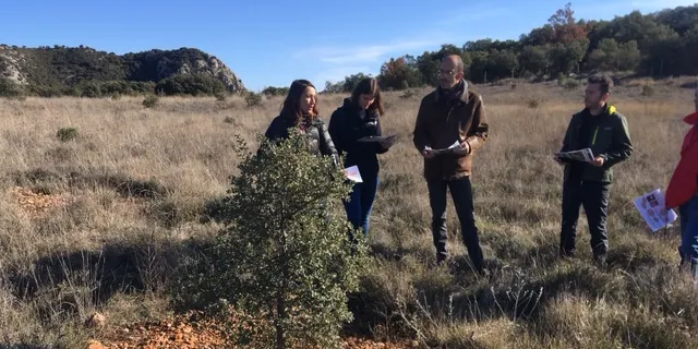 Una recerca del CTFC i la UdL constata que la tòfona pot "donar vida" a camps abandonats del Pirineu