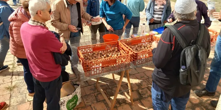 Catalunya celebra la Setmana Bio amb més de 450 activitats