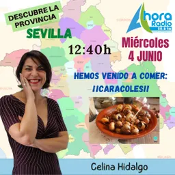#42 - Gelves en la onda - Descubre la Provincia del 4/6/2025 - episode art