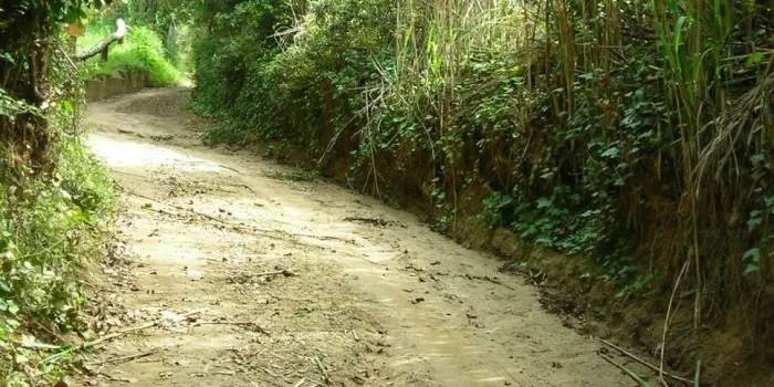 L’Ajuntament demana que no es llenci brossa als rials arenyencs