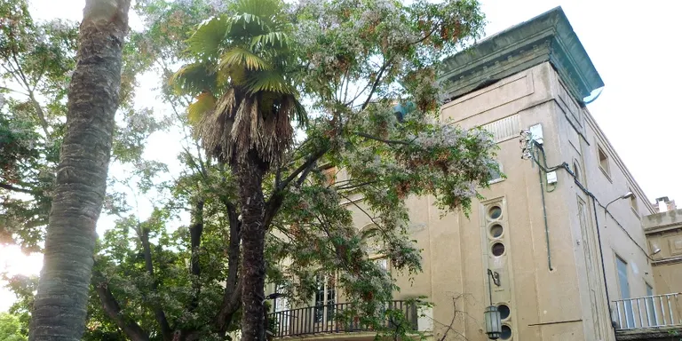 L'Ajuntament farà un concurs d'idees per a la rehabilitació del Casino
