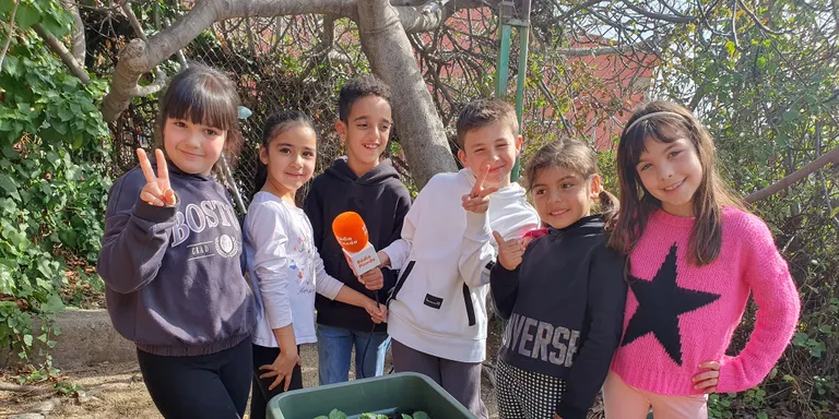 Jardineres elevades amb productes de temporada a l'escola Jaume I