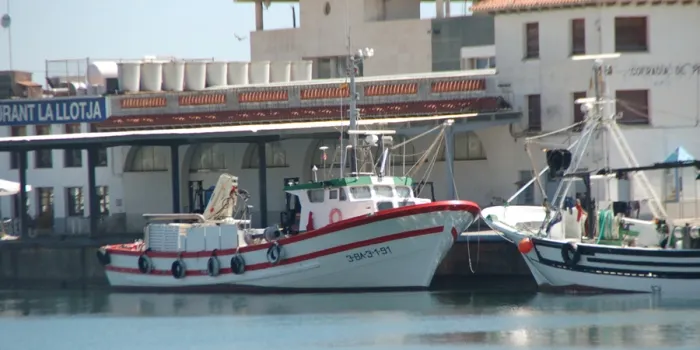 Les federacions territorials de pesca i el conseller Pelegrí es reuneixen al port d'Arenys