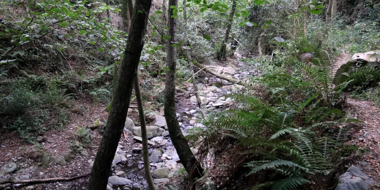 El Montseny pateix els efectes d’una sequera “inèdita”: “Si no plou aviat ho tindrem molt malament”