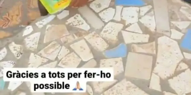 L’ONG Vicenç Zamora donarà roba i material escolar pels infants de Gambia