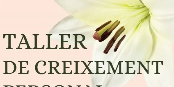 Un any més es fa el taller de creixement personal a Can Borrell