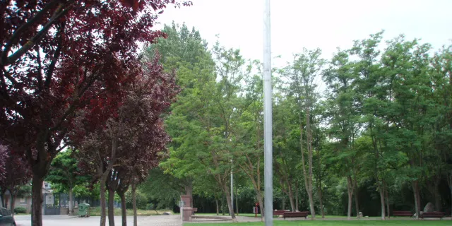 La Seu sanciona 22 propietaris de gossos per incomplir l'ordenança municipal