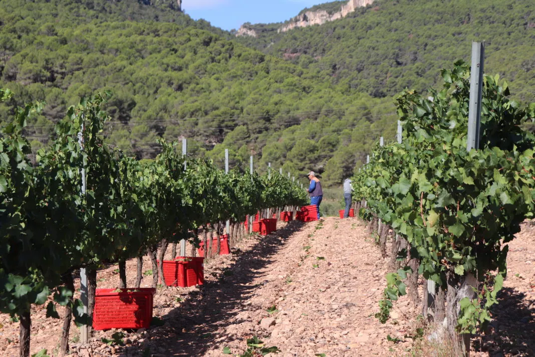 RUBÍ AL DIA dilluns 25 MARÇ 2019