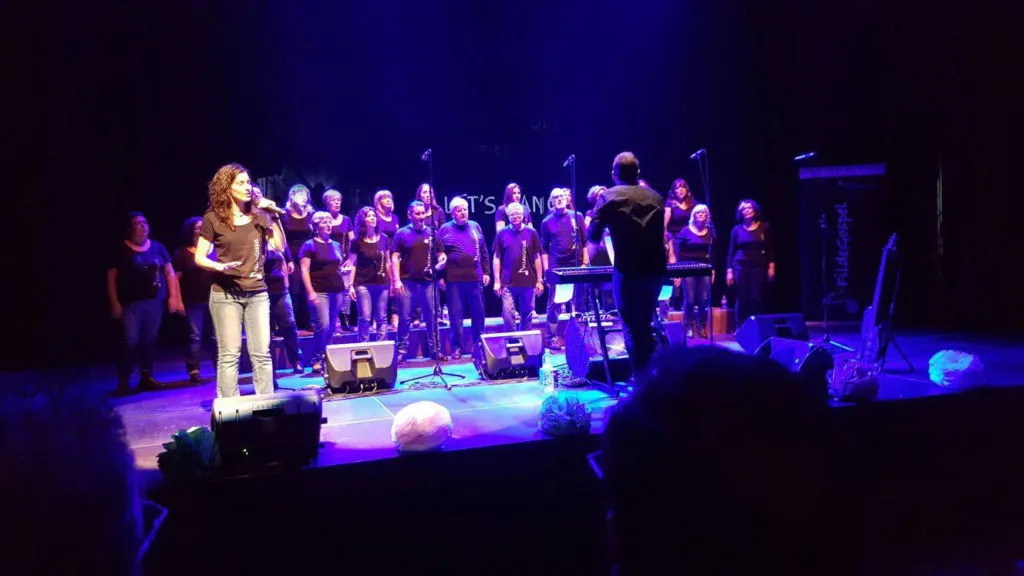 Fildegolpel dedica el concert del tercer aniversari a benefici d'ADIAM