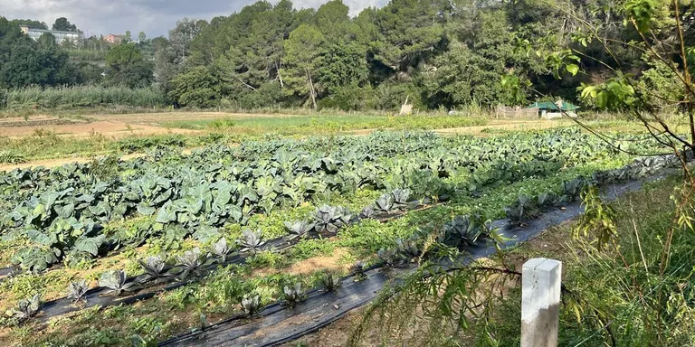 Rubí vol ampliar els hàbits de consum ecològic més enllà de la Setmana Bio
