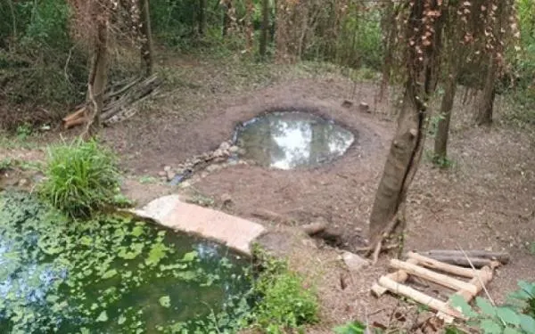 Foto: Associació Mediambiental la Sínia