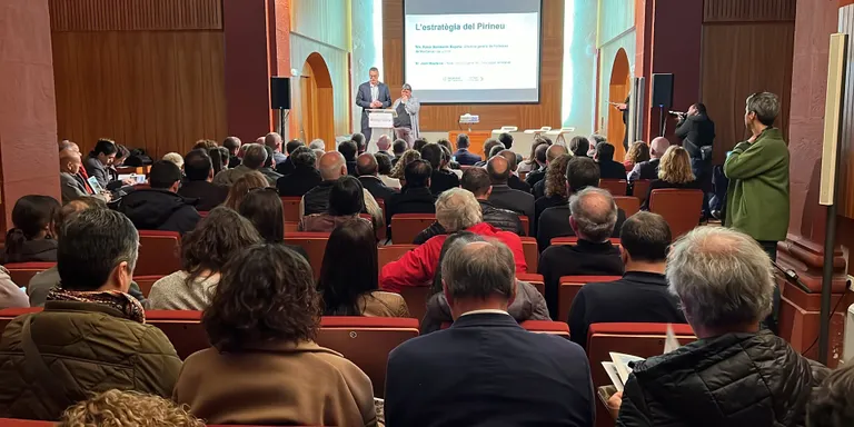 La Generalitat aprova l'Estratègia del Pirineu, que prioritza 14 projectes de futur per a les comarques de muntanya