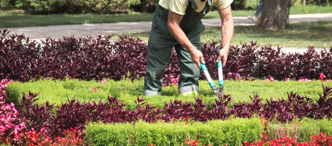 El Morell busca un oficial de jardineria