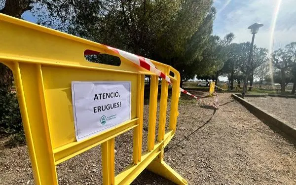 Foto: Ajuntament d'Altafulla