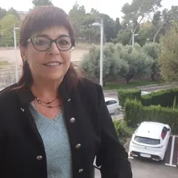 Imma Grau, directora dels Serveis Territorials de Salut al Camp de Tarragona - episode art