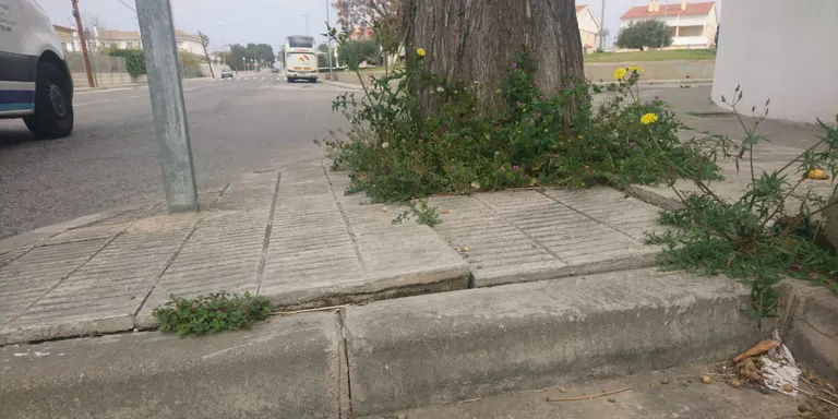L'Ajuntament millorarà les voreres de la carretera de la Pobla