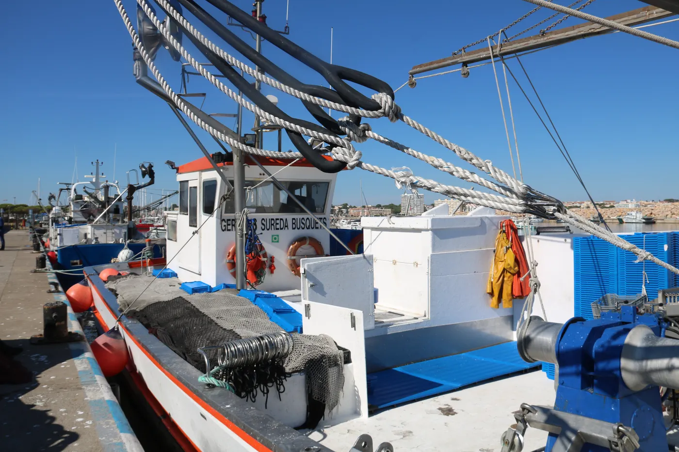 Els pescadors catalans podran pescar sardina a partir de desembre