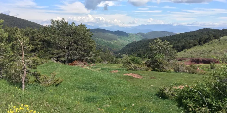 Camina Pirineus dóna un nou premi entre els participants en una enquesta