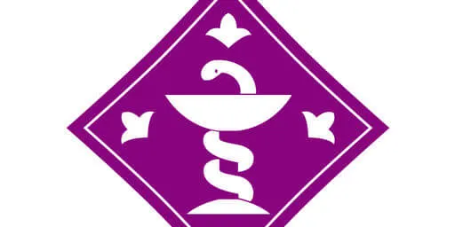 'Què cal saber del dolor', la conferència del Col·legi Oficial de Farmacèutics de Lleida