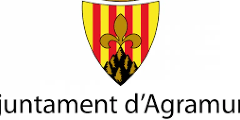 L'Ajuntament debat avui els pressupostos al Ple Municipal