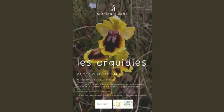 La cooperativa Sàmara Natura organitza una sortida guiada per conèixer les orquídies