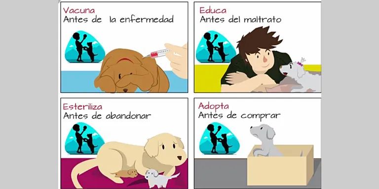 El Consell d'Infants es dedicarà enguany a la protecció de gossos i gats i per això proposen un recapte solidari en benefici de la protectora Caldes Animal